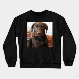 Labrador Puppy Crewneck Sweatshirt